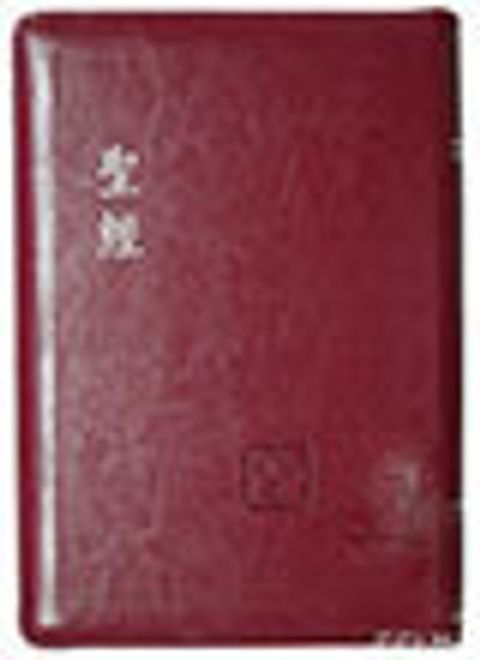 皮拉拇紅字豪華版(紅銀) 封面