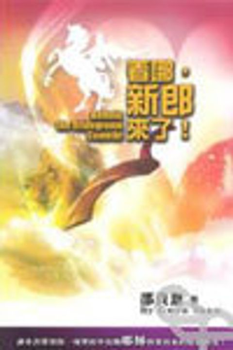 看哪，新郎來了！ 封面