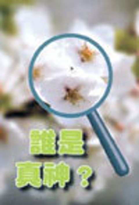 誰是真神？ (福音單張) 封面