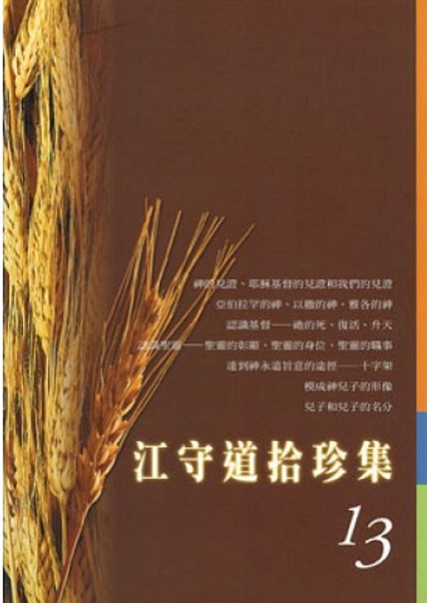 江守道拾珍集(13) 封面