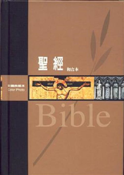 彩圖典藏本聖經（精裝 姆指索引）-- 斷貨 封面