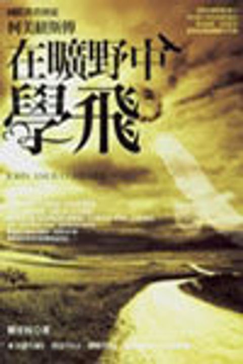 在曠野中學飛 封面