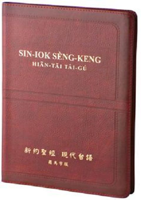 現代台語羅馬字新約聖經（皮面） 封面