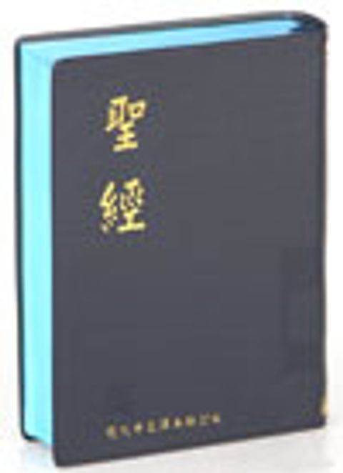 現代中文譯本聖經（掌型 膠皮） 封面