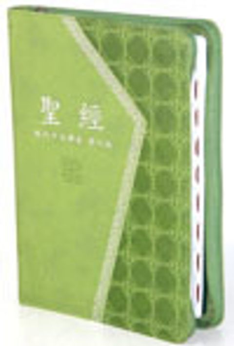 現代中文譯本聖經橫排版（中型 典雅 皮 拉鍊索引） 封面