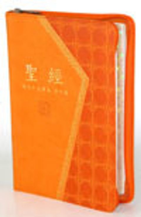 現代中文譯本聖經橫排版（中型 典雅皮 拉鍊） 封面