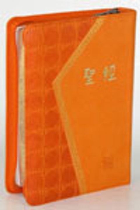 現代中文譯本聖經（中型 拉鍊 典雅橘) 封面