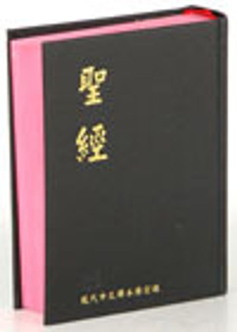 現代中文譯本掌型（硬皮） 封面