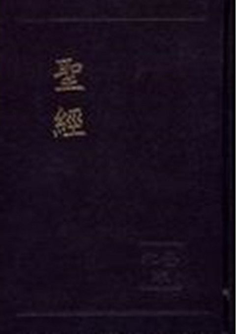 和合本大字紅字版聖經 （皮面 黑金） 封面