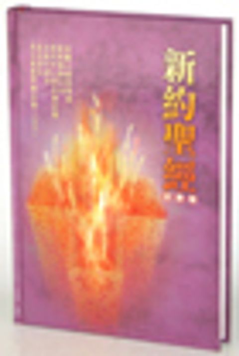 六種並排新約硬皮椅(缺貨中) 封面