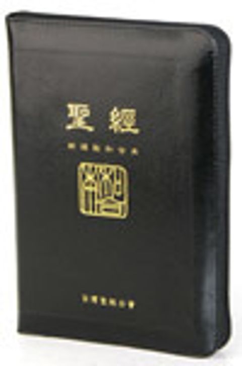 新標橫排中型串珠拉鍊索引皮面神版 封面