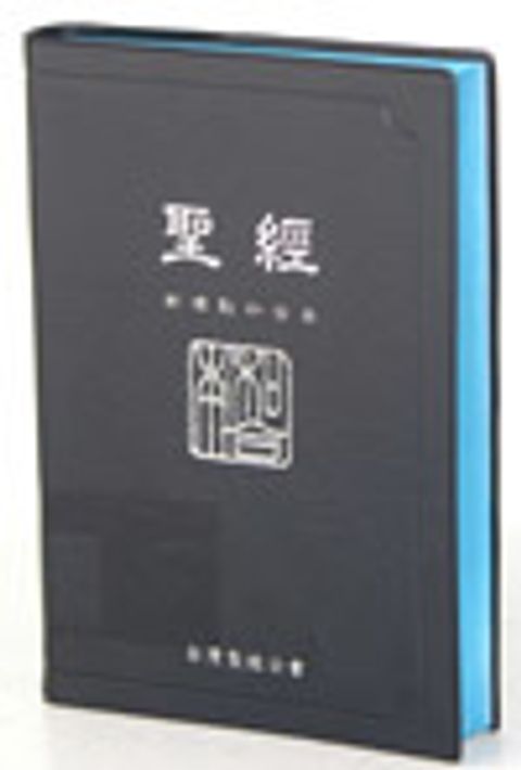 新標橫排中型串珠膠皮神版 封面