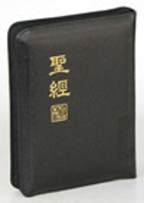 新標掌型拉鍊皮面上帝版 封面