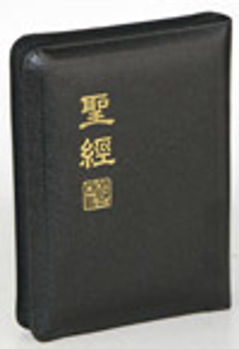 新標掌型拉鍊索引皮面神版 封面