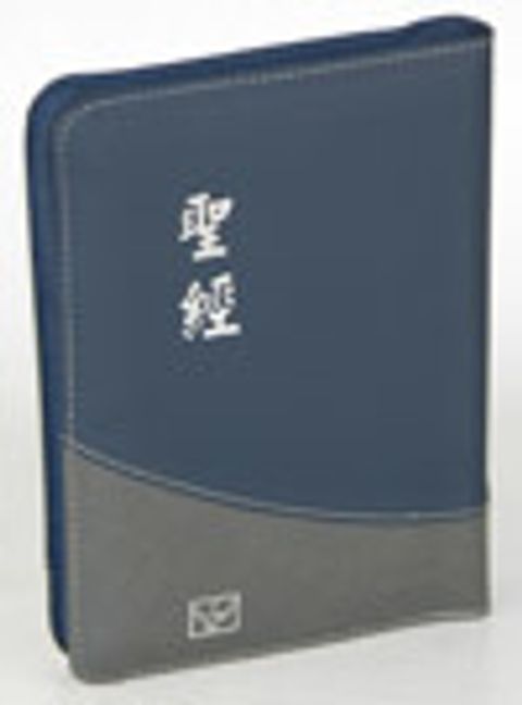 新標掌型拉鍊索引麗皮神版 封面