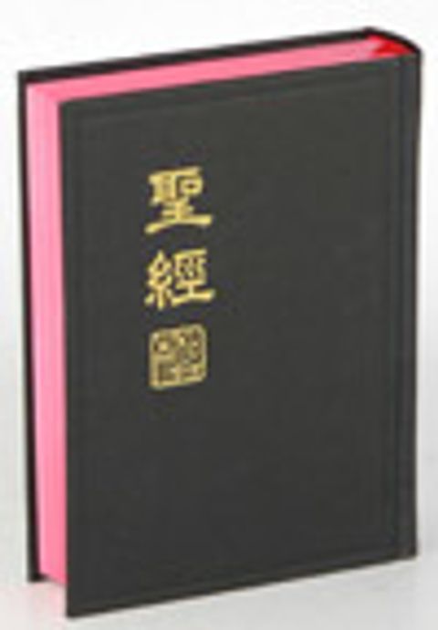 新標掌型硬皮神版 封面