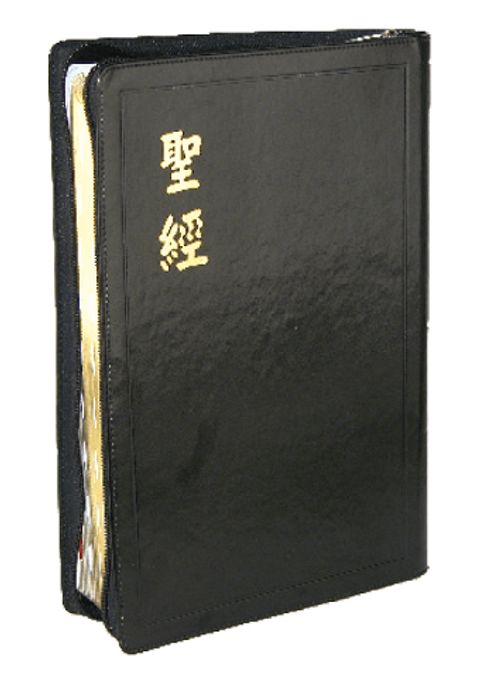 和合本大型聖經（拉鍊 索引 皮面 神版） 封面