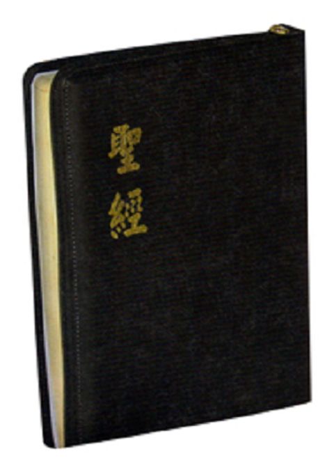 和合本大型聖經（拉鍊 皮面 神版） 封面