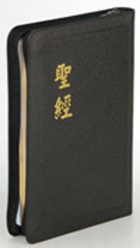 和合本大字聖經（拉鍊 皮面 神版） 封面