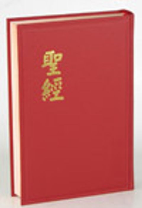 和合本大字聖經（硬面 神版） 封面