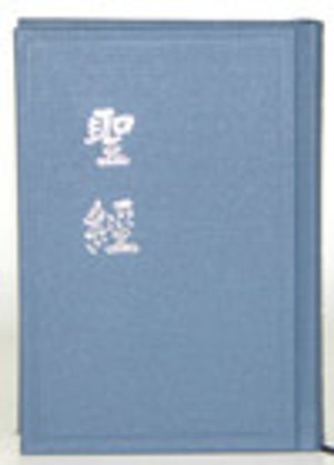 新標掌型聖經（硬皮 上帝版） 封面