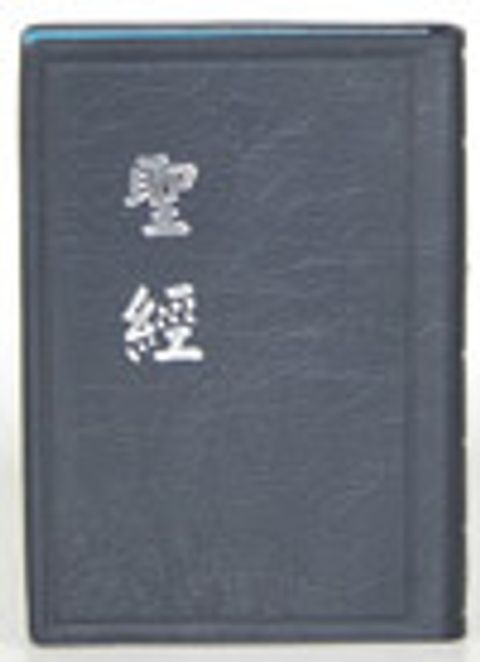 新標掌型聖經（膠皮 上帝版） 封面