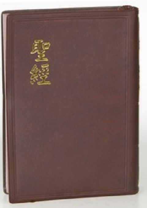 和合本中型聖經（紅字 膠皮 上帝版） 封面