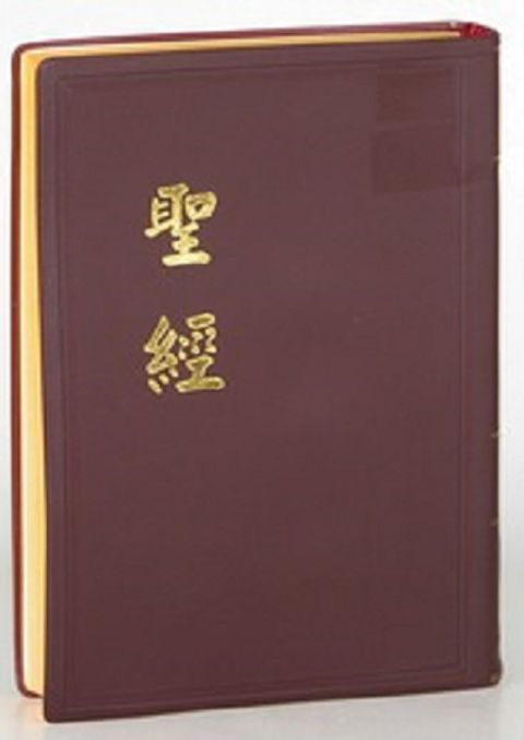 和合本中型聖經（紅字 膠皮 神版） 封面