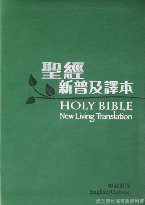 新普及譯本聖經 （皮面 銀邊）CBT4840 封面