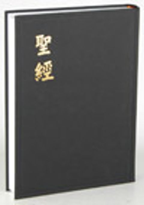 和合本大字聖經（硬面 神版） 封面