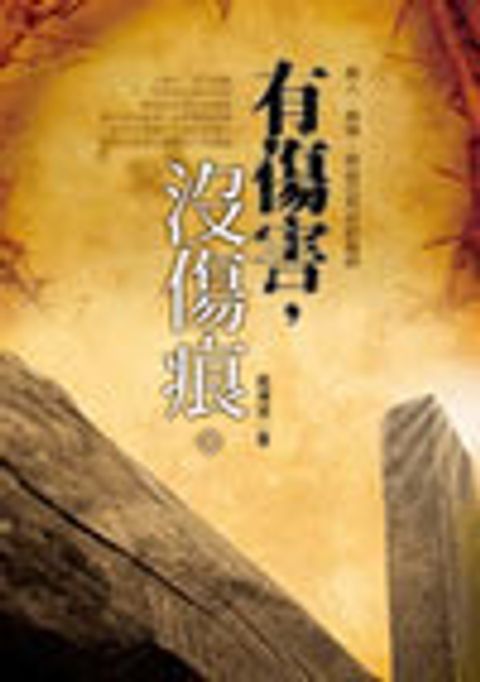 有傷害，沒傷痕 封面