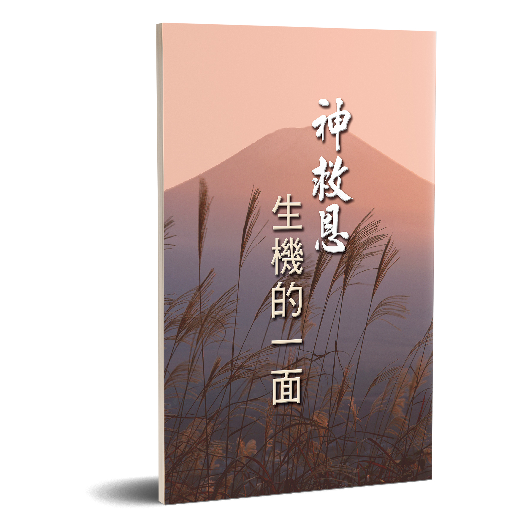 神救恩生機的一面 封面