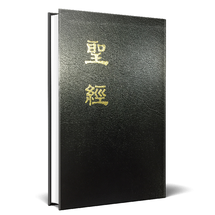 新舊約聖經恢復本（註解普及版25開） 封面