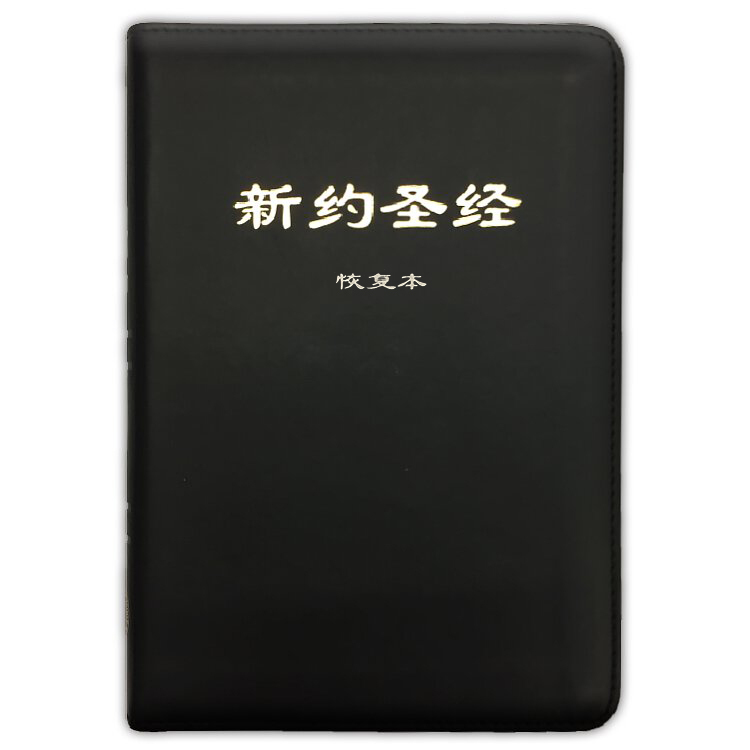 01-916-003 新約聖經恢復本（簡體字註解版平裝本） 封面