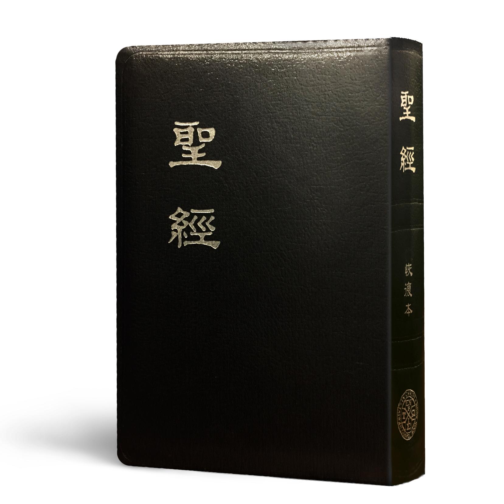 新舊約聖經恢復本(經文版皮面金邊25開) 封面