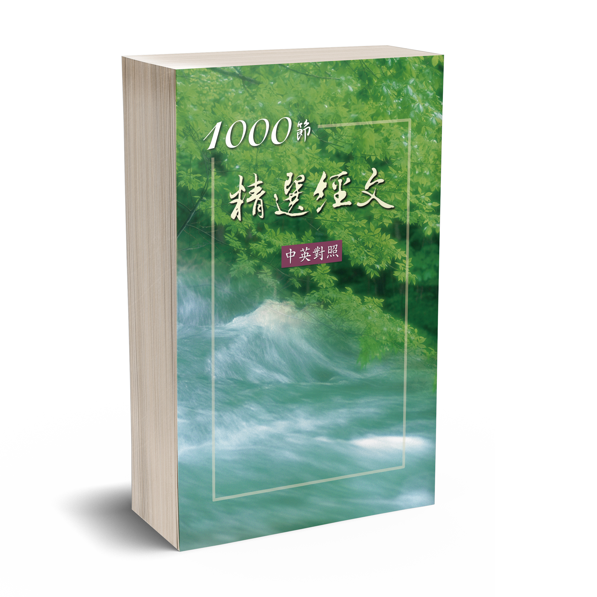 精選經文1000節（中英對照） 封面