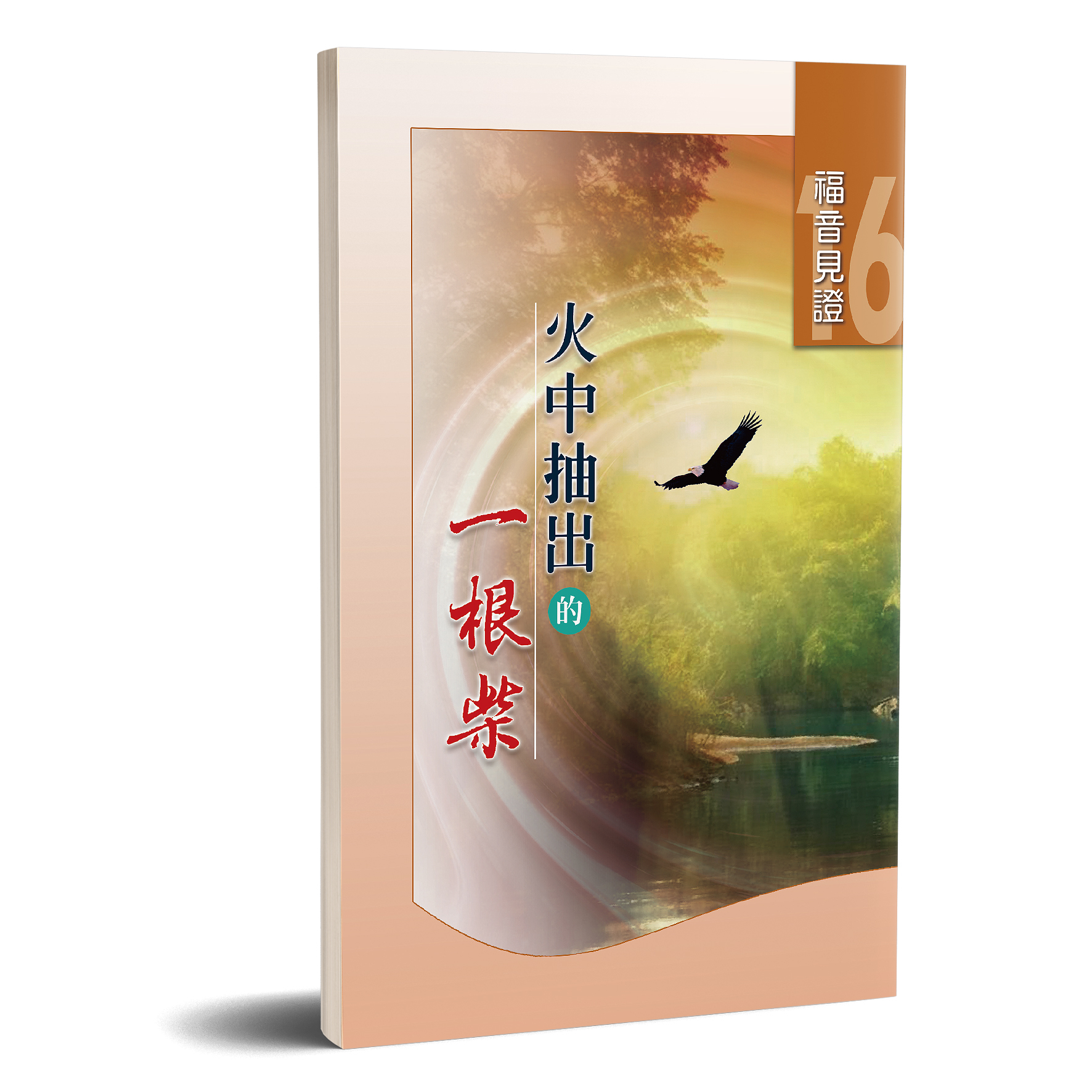 福音見證 第十六集 火中抽出的一根柴 封面