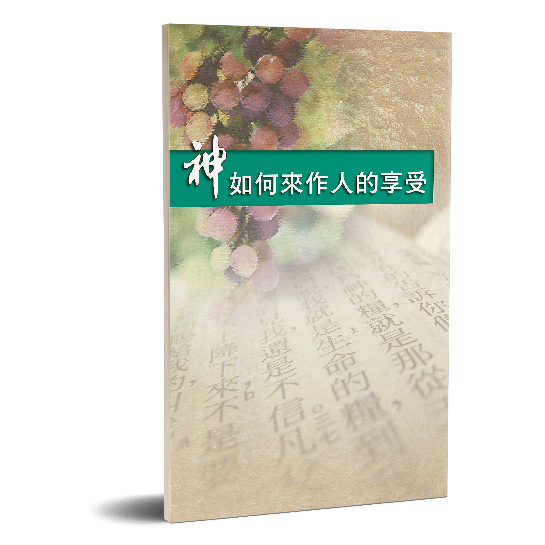 神如何來作人的享受 封面