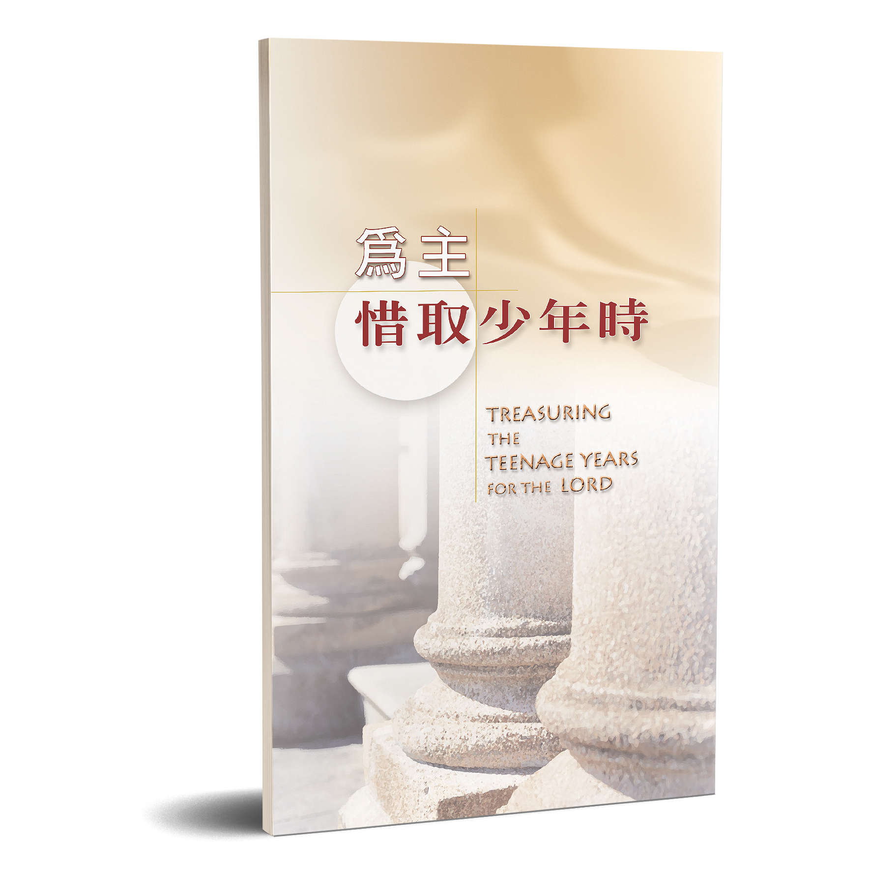 為主惜取少年時 封面