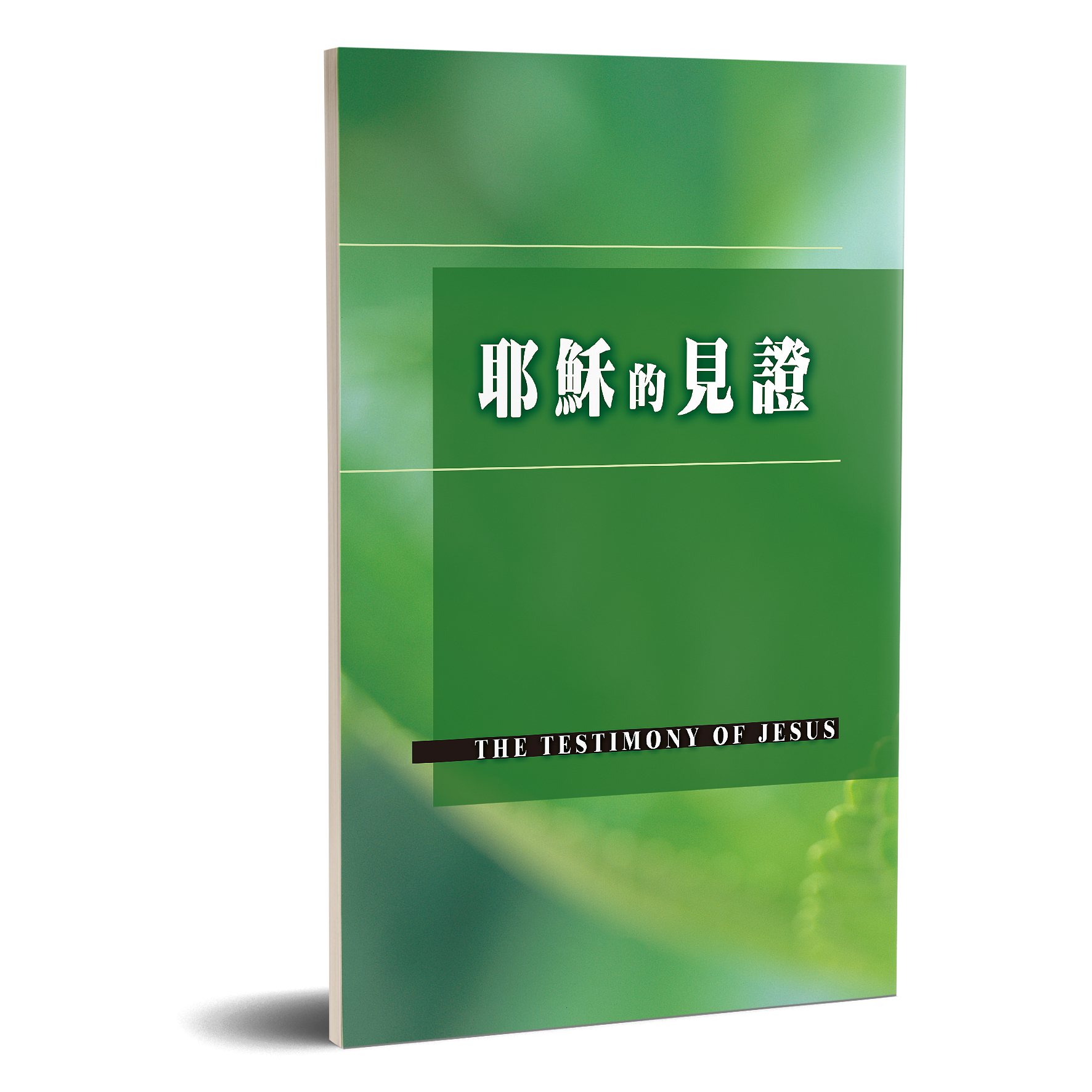 耶穌的見證 封面