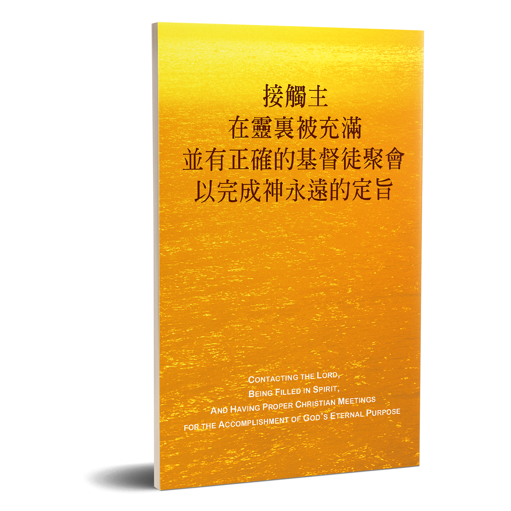 接觸主在靈裏被充滿並有正確的基督徒聚會以完成神永遠的定旨 封面