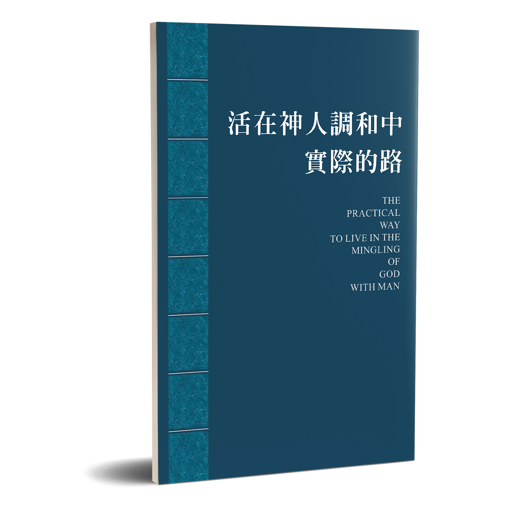 活在神人調和中實際的路 封面