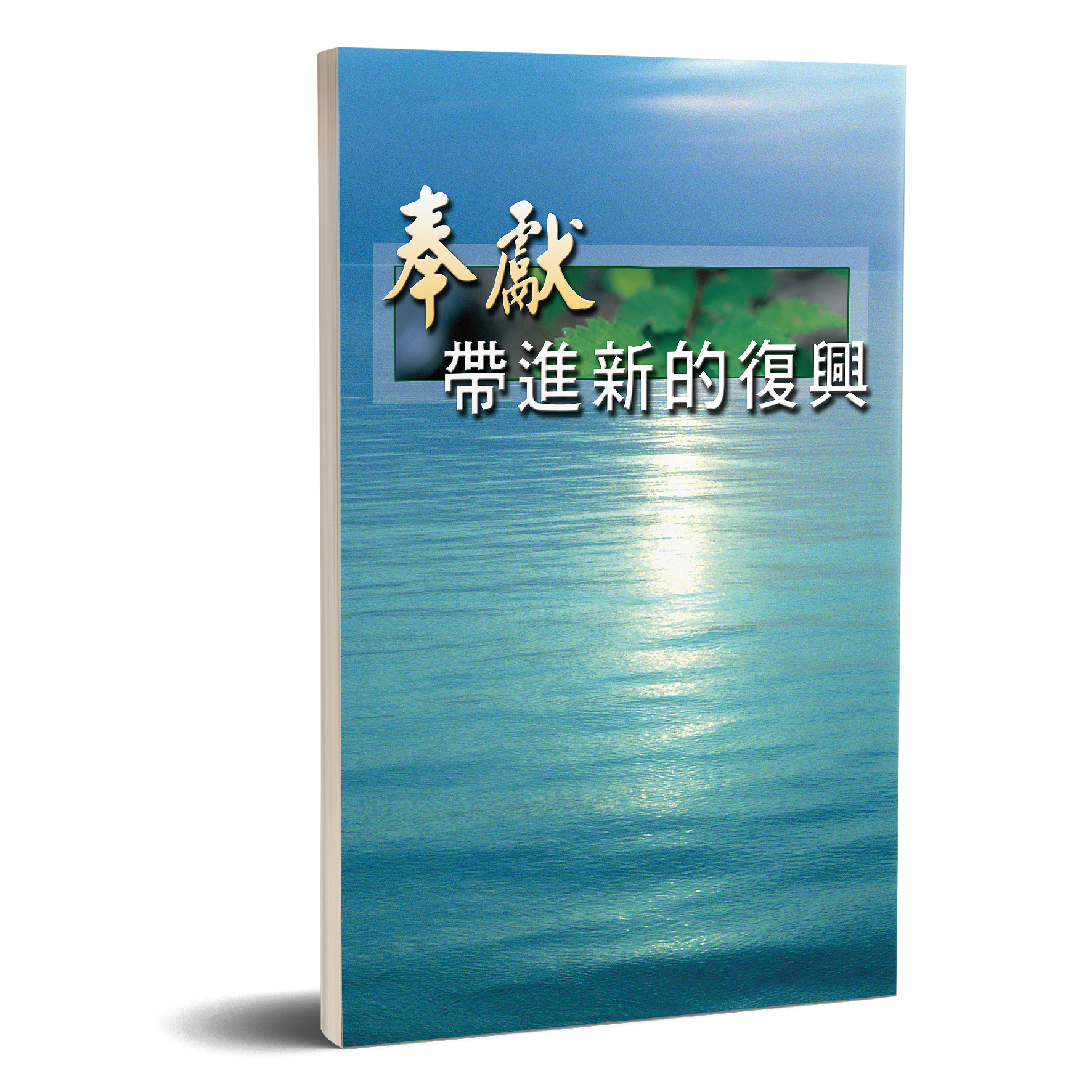 奉獻帶進新的復興 封面