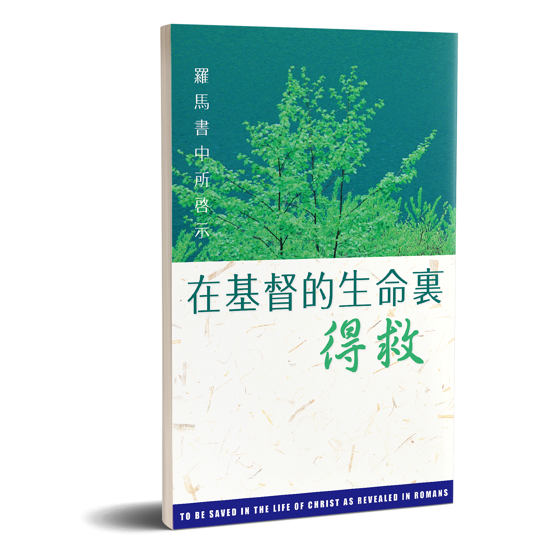 羅馬書中所啟示在基督的生命裏得救 封面