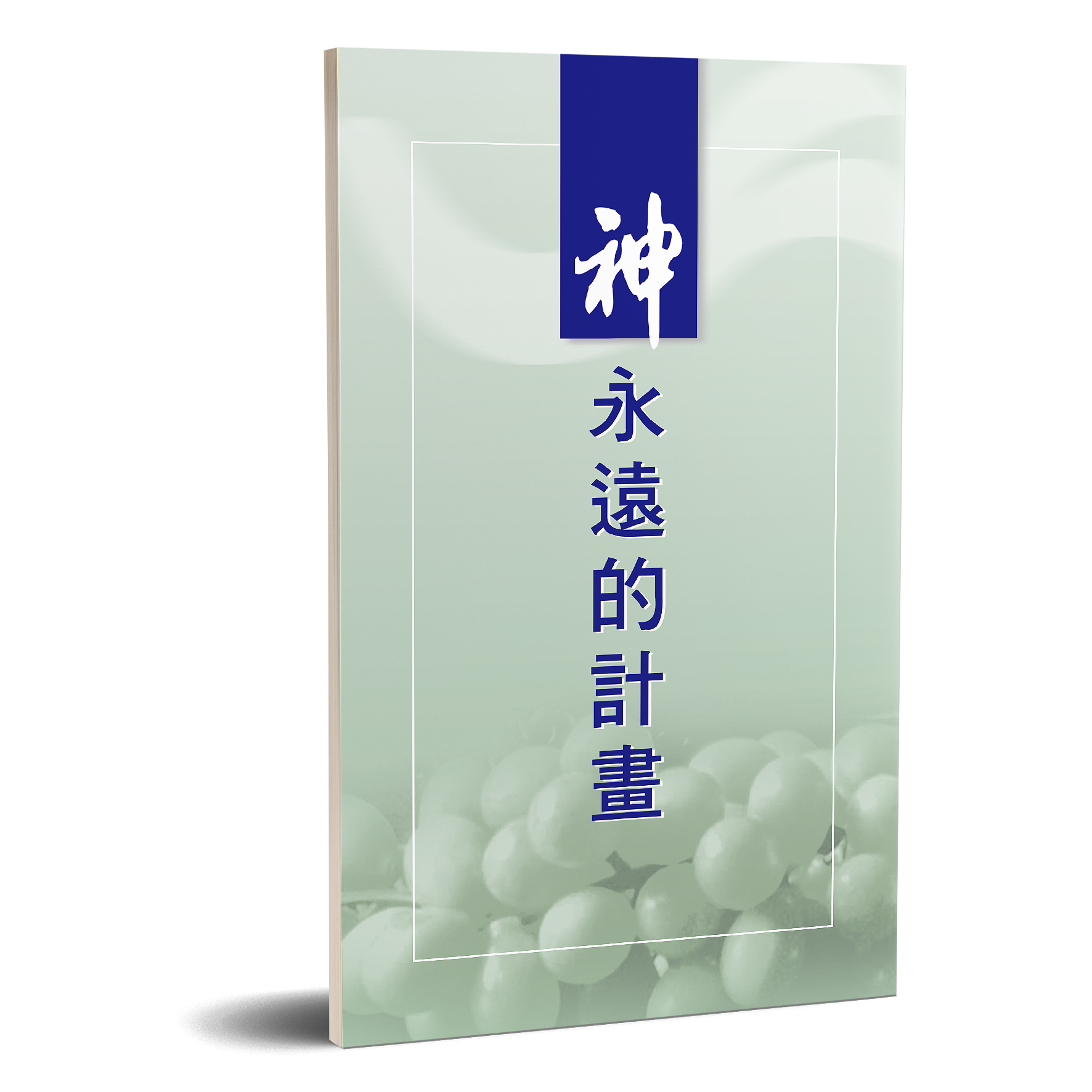 神永遠的計畫 封面