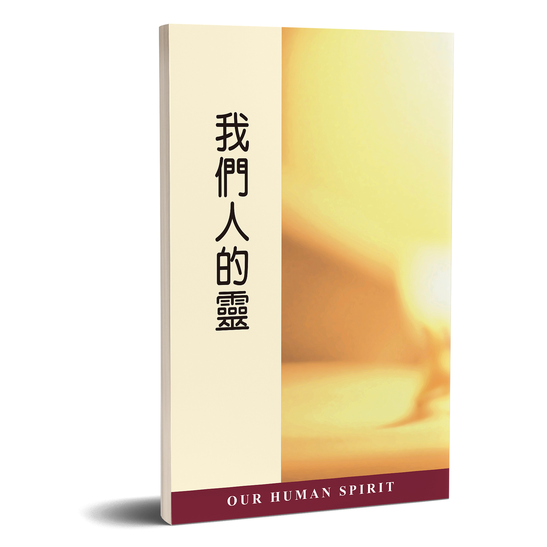 我們人的靈 封面