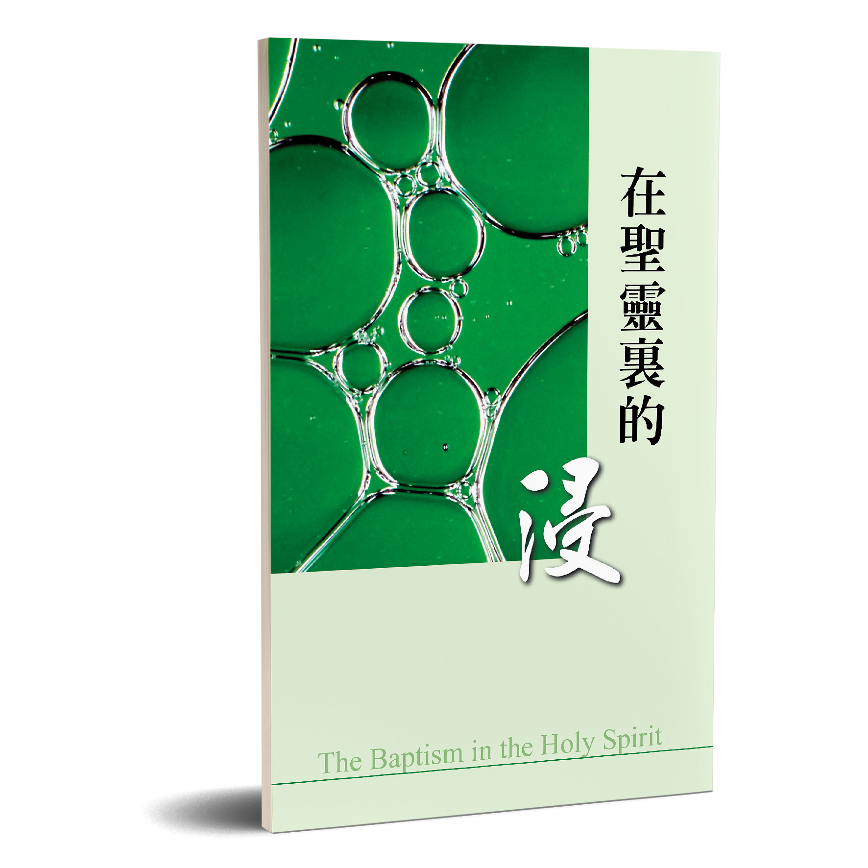 在聖靈裏的浸 封面