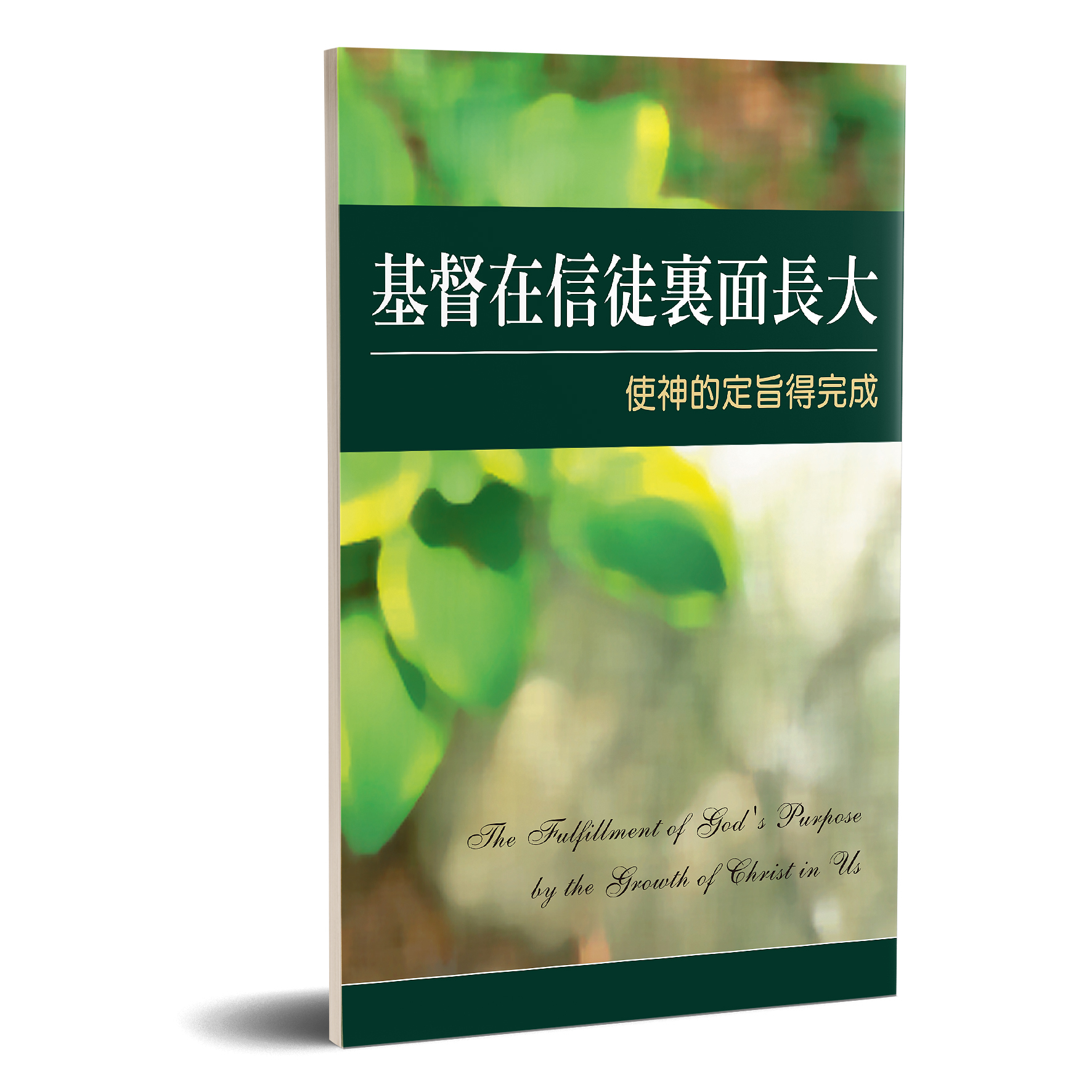 基督在信徒裏面長大使神的定旨得完成 封面