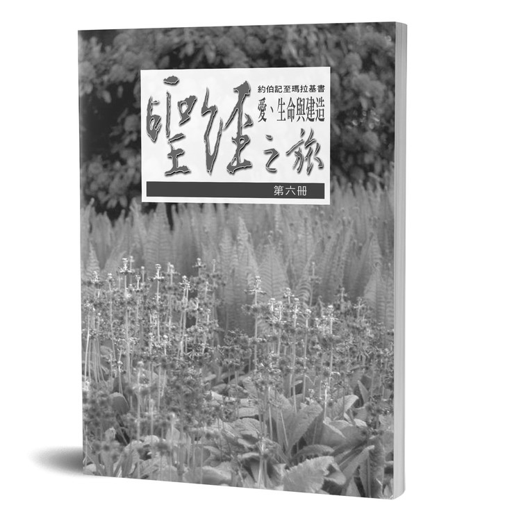 聖經之旅 第六冊 - 服事者手冊 封面