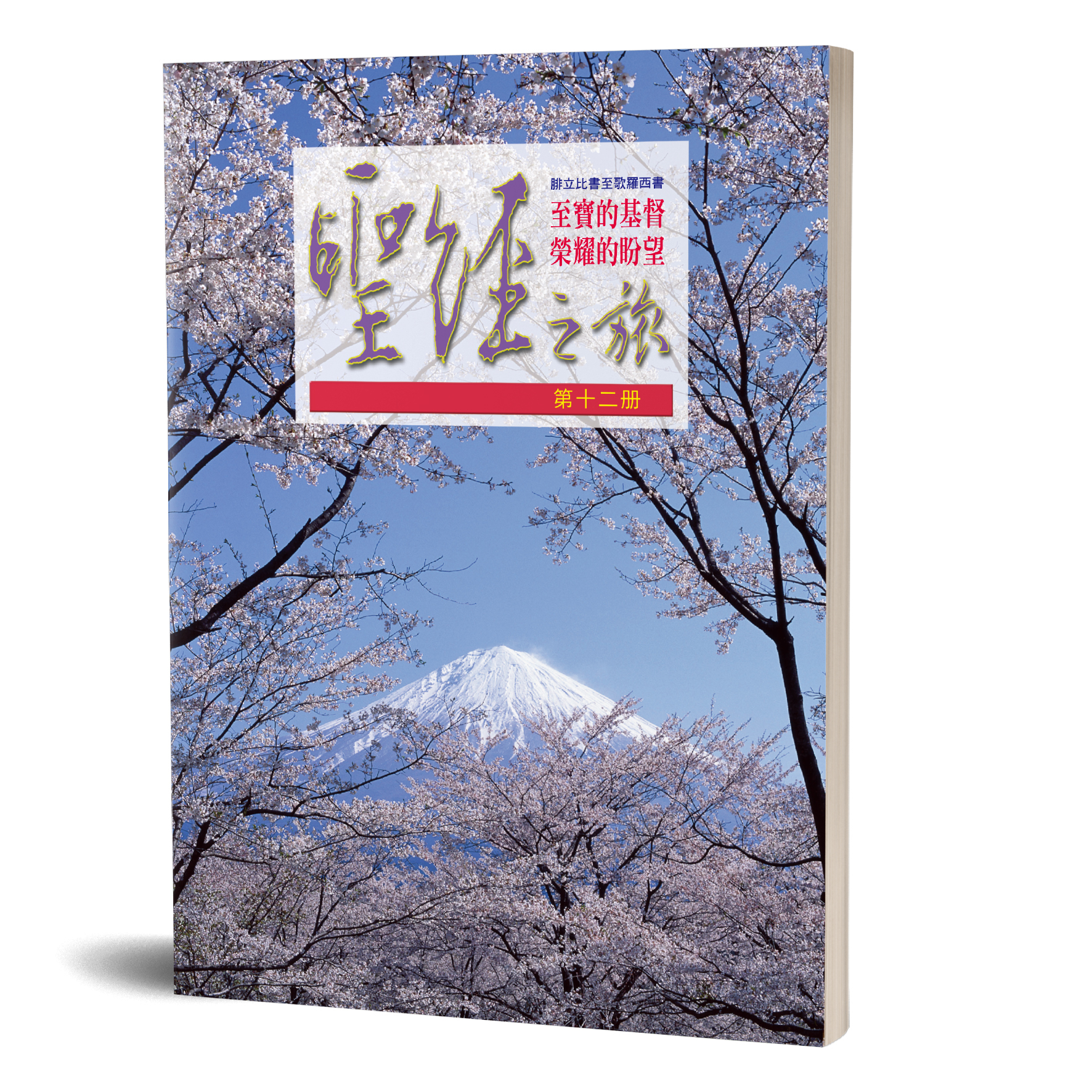 聖經之旅 第十二冊—至寶的基督．榮耀的盼望 封面